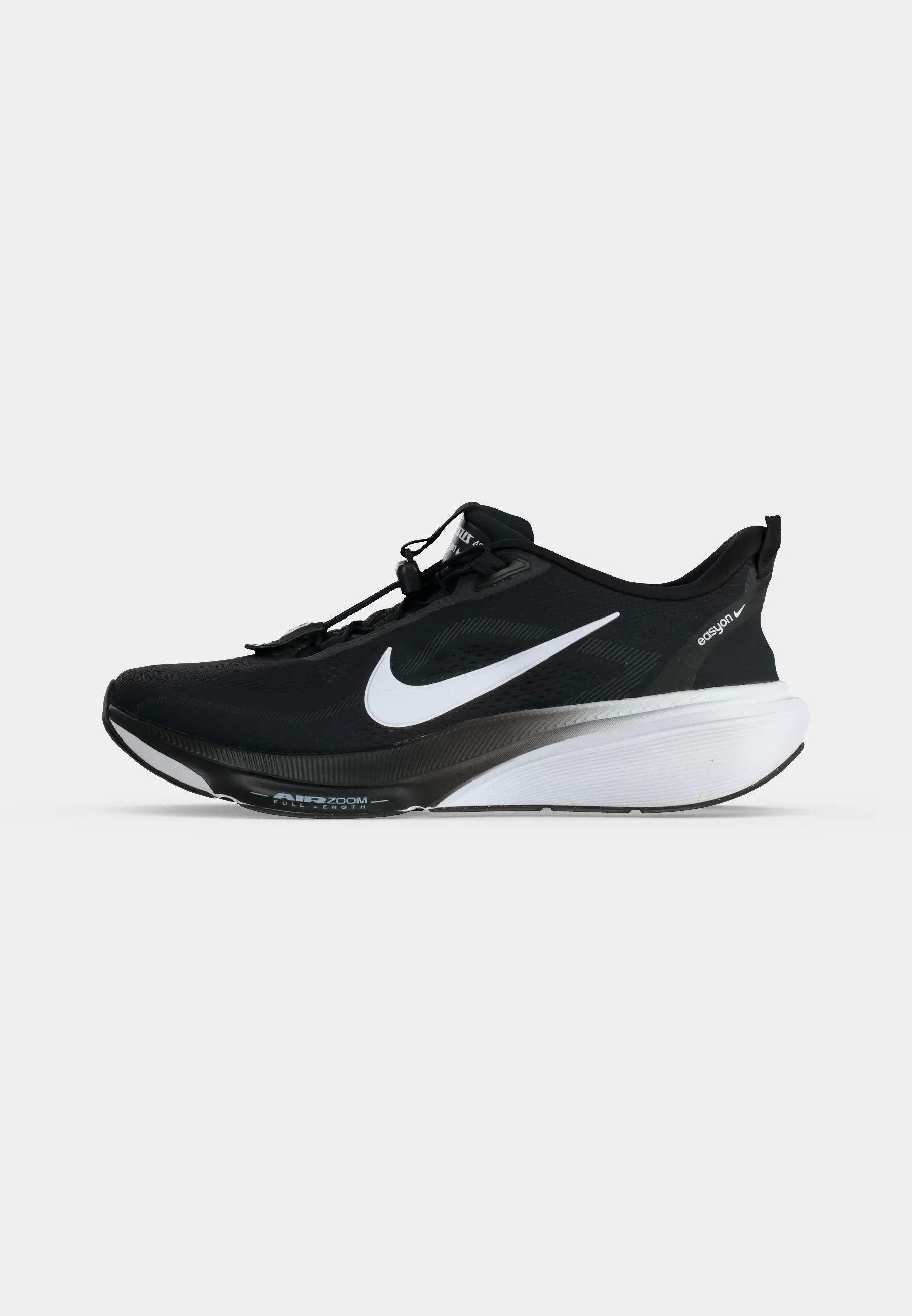 PEGASUS 42