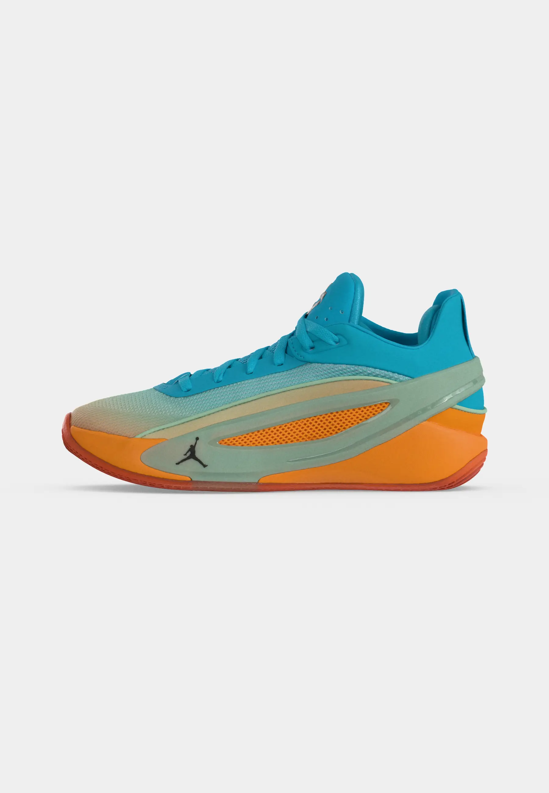 JORDAN LUKA 5 LIFE