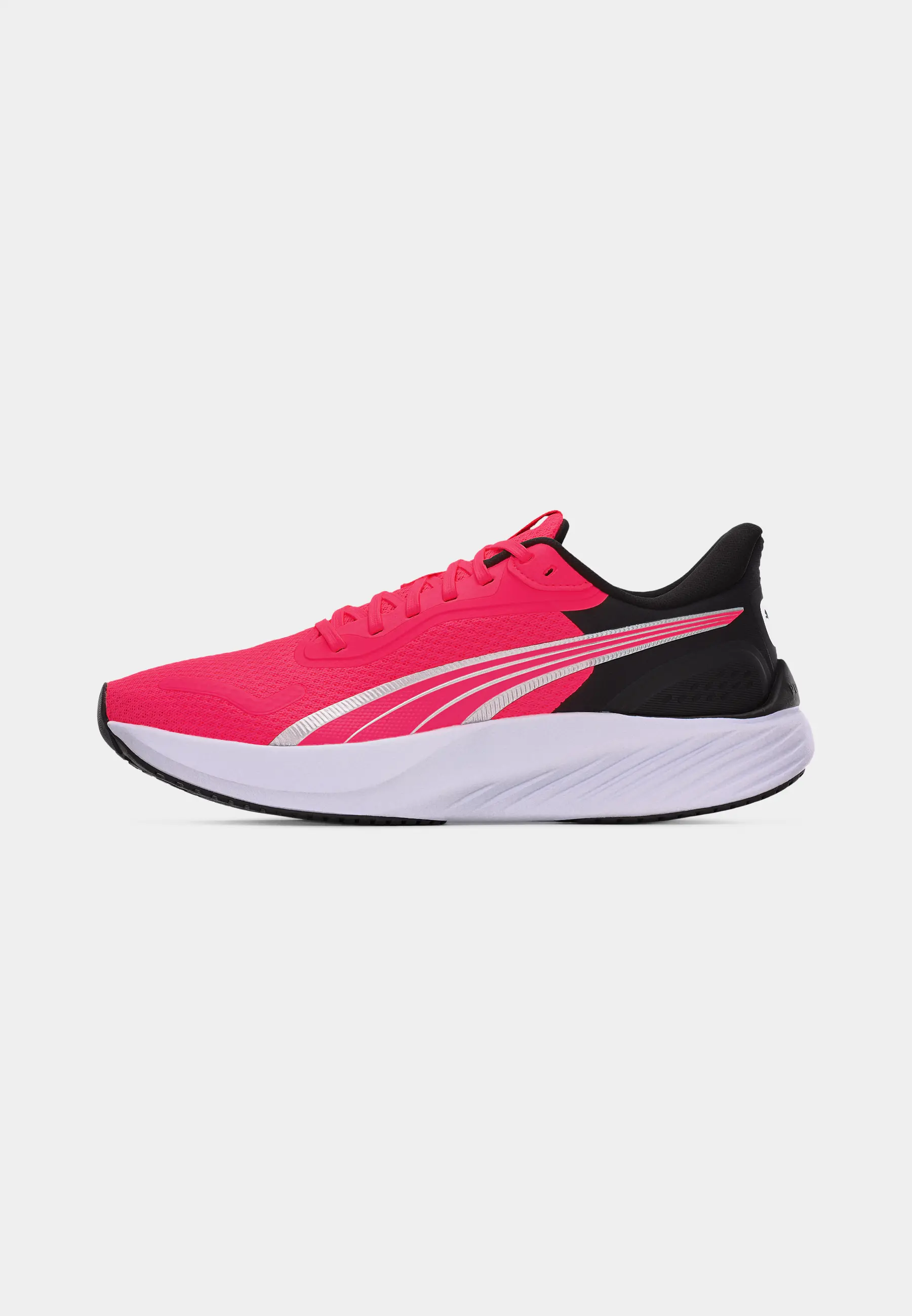 Pounce Lite