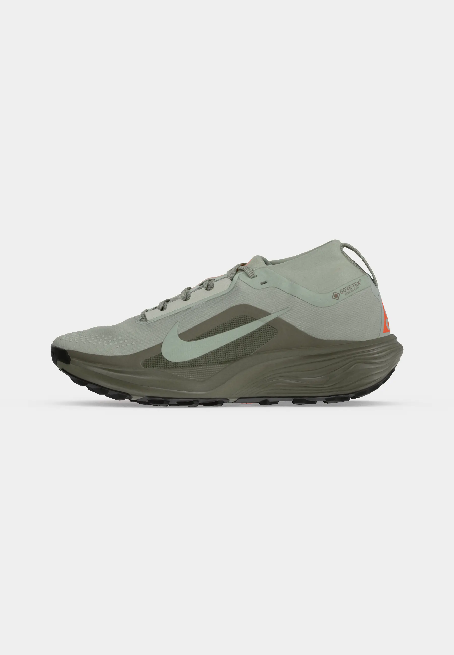 PEGASUS TRAIL GTX