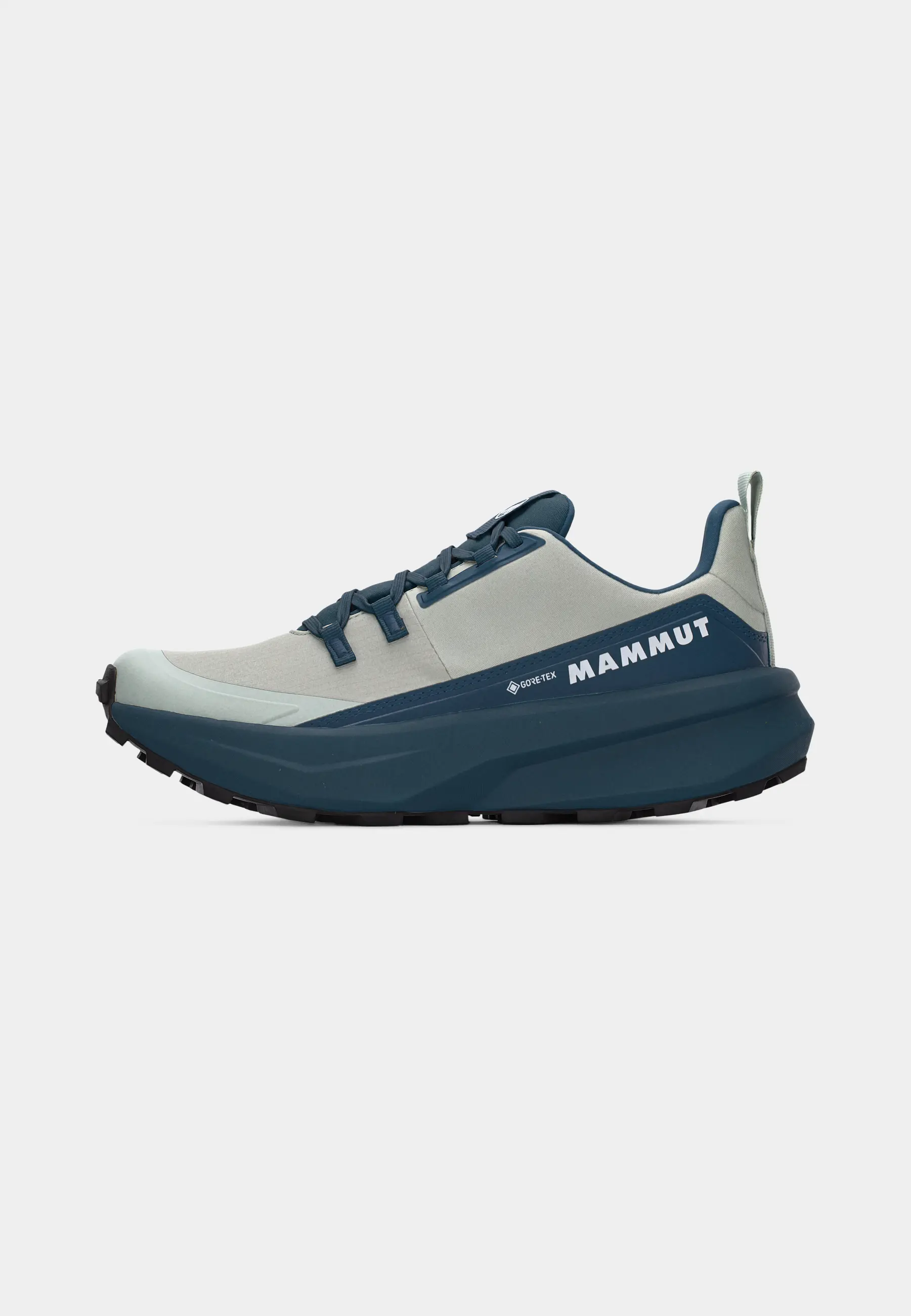 Aenergy Hike Low GTX Women